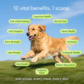 Dog running on grass with health benefits listed around it, against a blue sky.