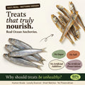Advertisement for real ocean anchovies with health benefits highlighted on a white background.