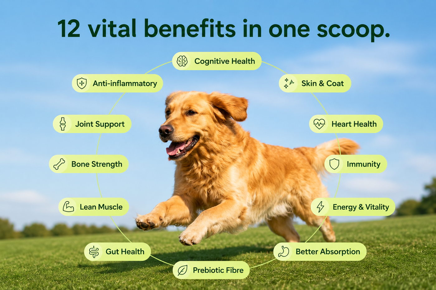 Daily topper benefits