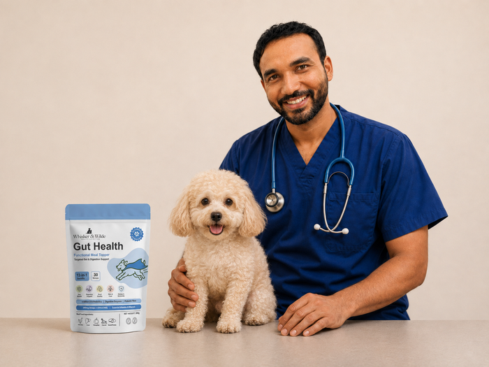 Dr. Dinesh Reddy R, M.V.Sc. (Animal Nutrition)