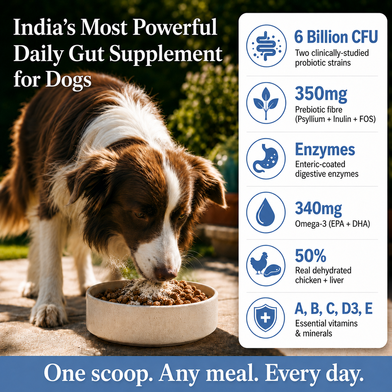 6 Billion CFU probiotics for cats - key benefits