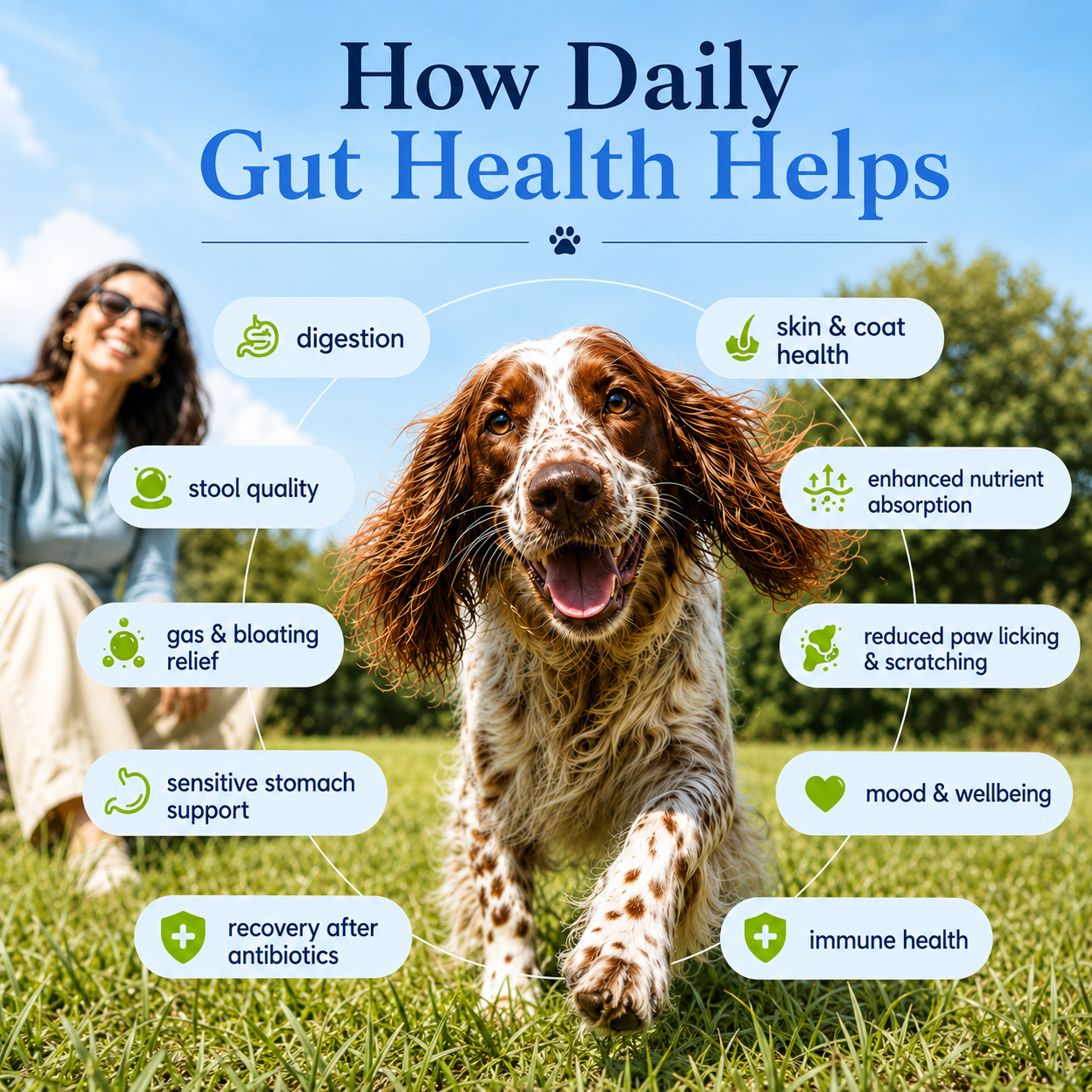 How Cat Gut Health helps - benefits circle