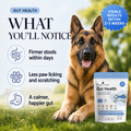 How Cat Gut Health helps - problem list with solutions