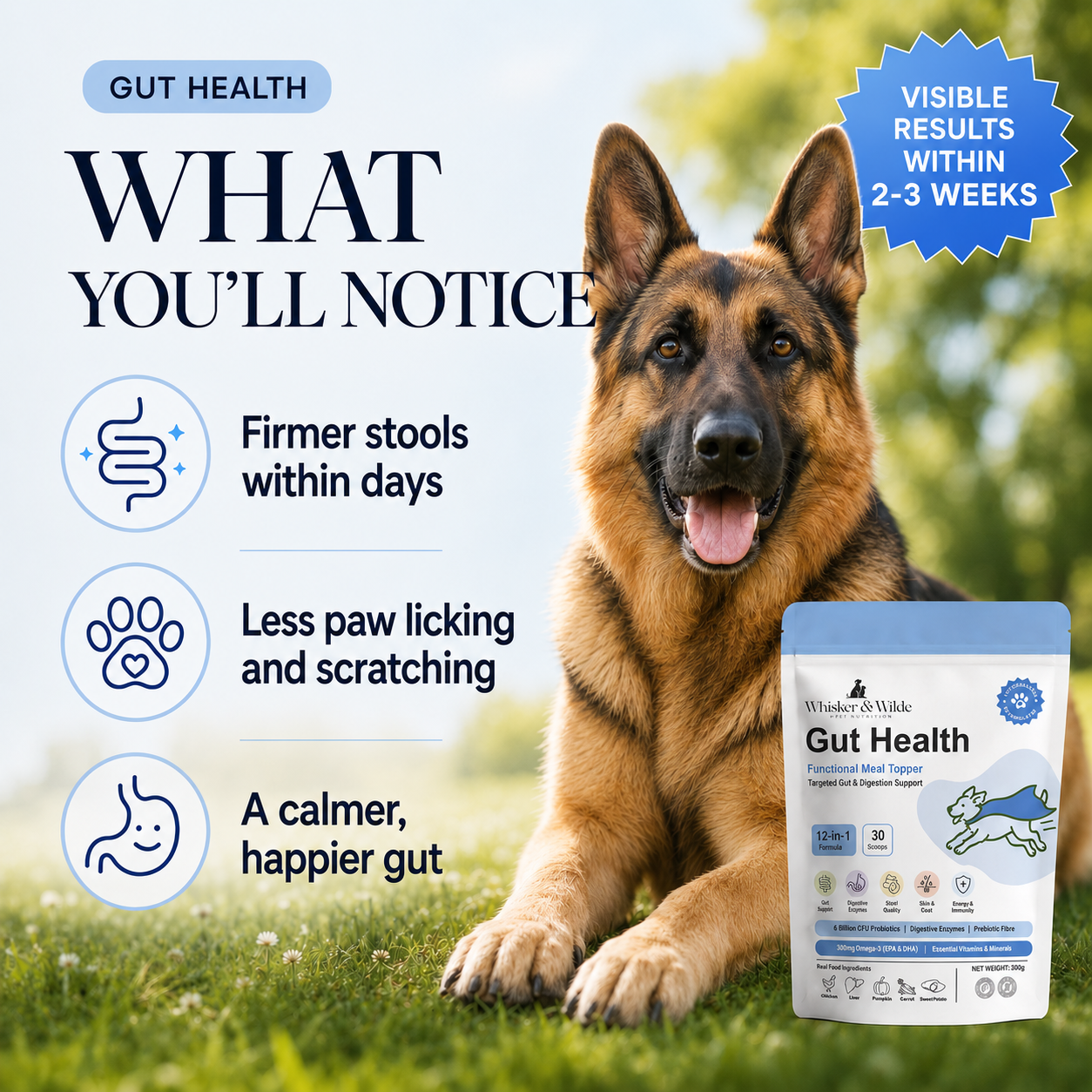 How Cat Gut Health helps - problem list with solutions