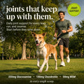 Man running with a dog in a park, promoting joint support supplements.