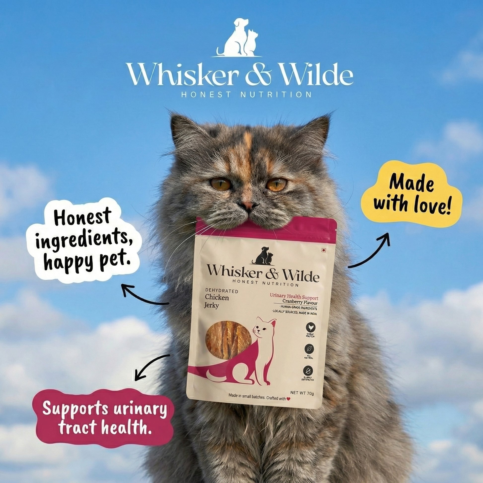 Cat holding a Whisker & Wilde chicken jerky cranberry treat package, promoting honest ingredients and urinary tract health support