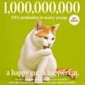 Daily Cat Topper · 12-in-1 Vital Benefits - Whisker and Wilde