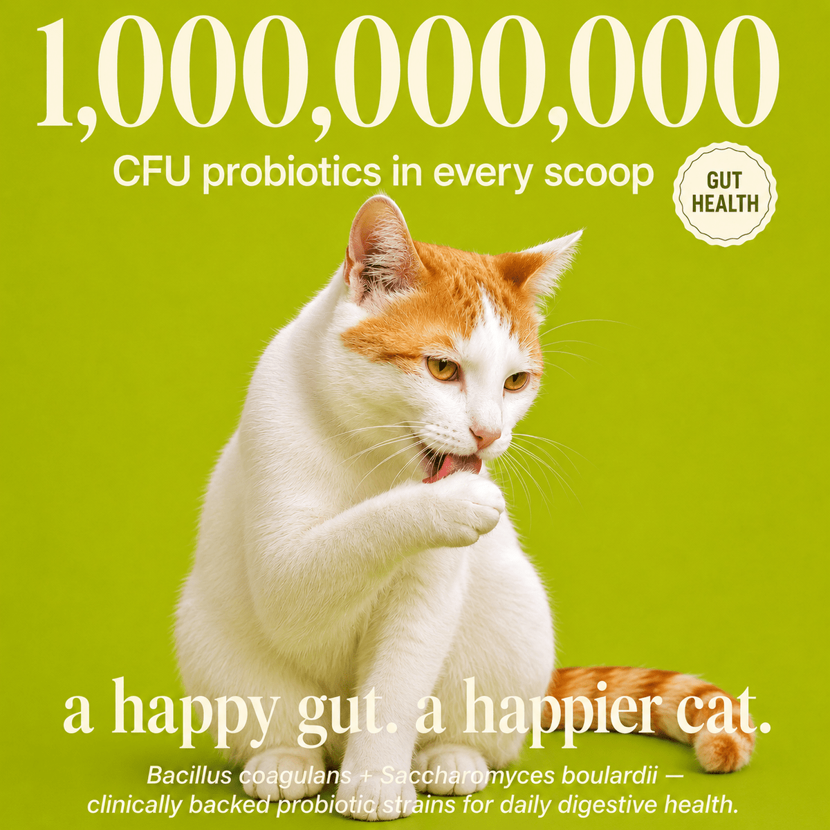 Daily Cat Topper · 12-in-1 Vital Benefits - Whisker and Wilde