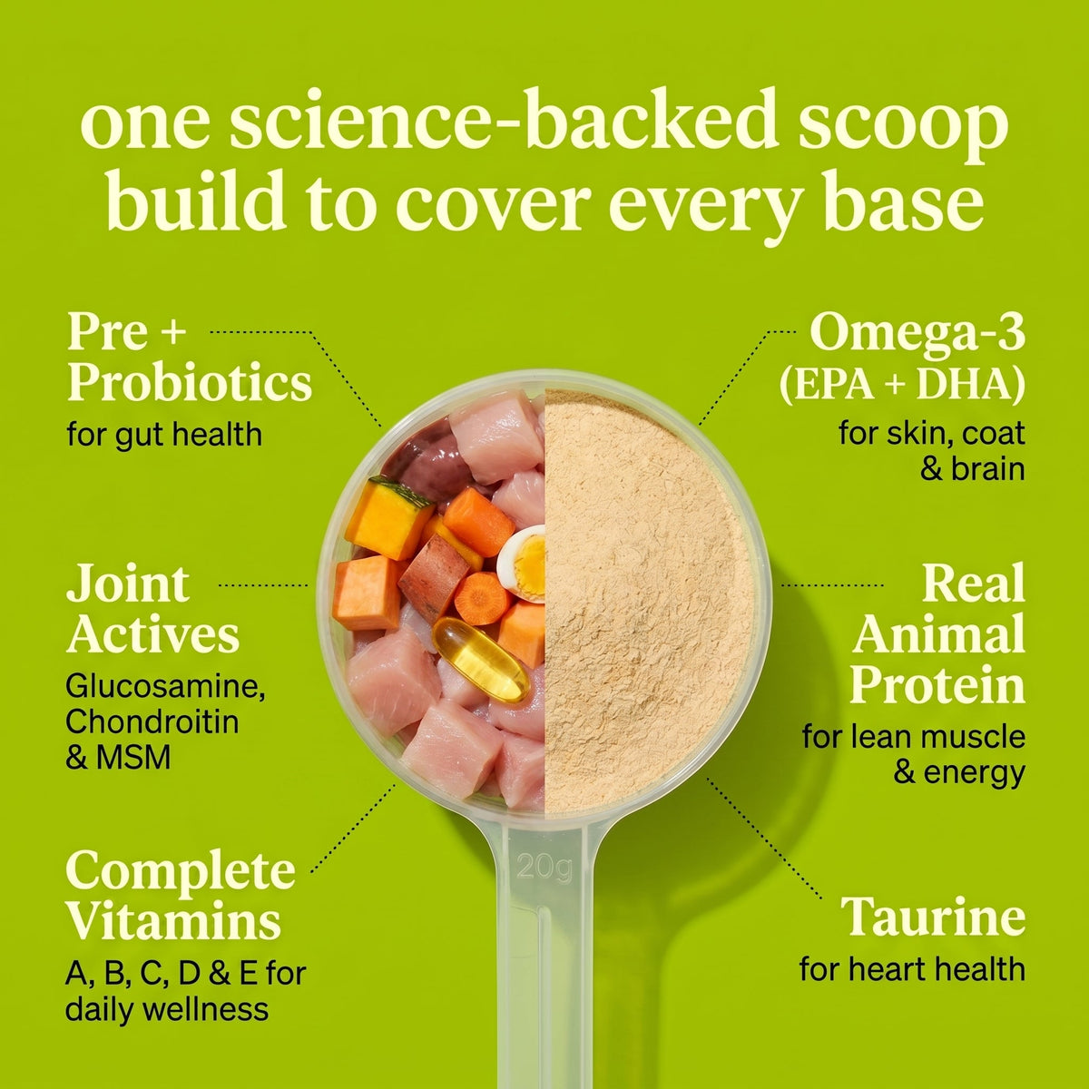Daily Cat Topper · 12-in-1 Vital Benefits - Whisker and Wilde