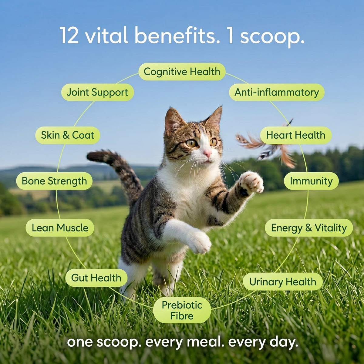 Daily Cat Topper · 12-in-1 Vital Benefits - Whisker and Wilde