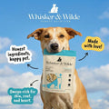 Dehydrated Anchovies – Original (Dog) - Whisker and Wilde