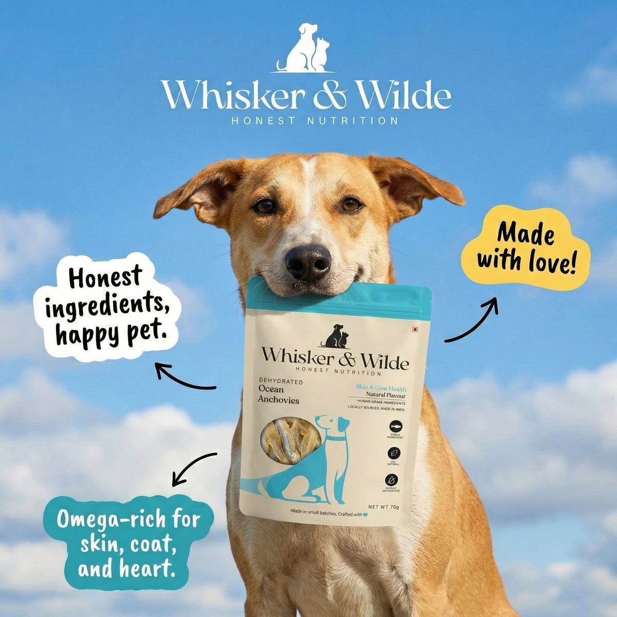 Dehydrated Anchovies – Original (Dog) - Whisker and Wilde