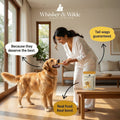 Dehydrated Chicken Jerky – Turmeric (Dog) - Whisker and Wilde