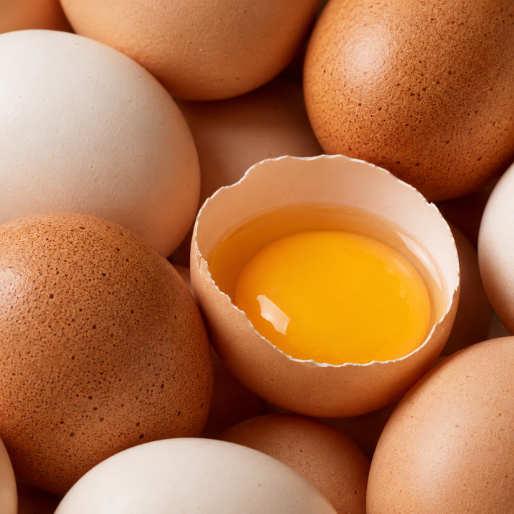 Egg