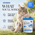 Gut Health Cat Topper · 6 Billion CFU Probiotics for Loose Stools, Hairballs & Sensitive Stomachs - Whisker and Wilde