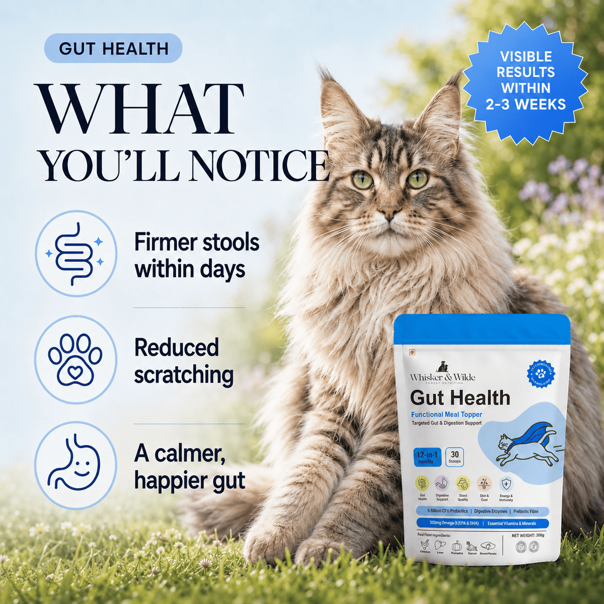 Gut Health Cat Topper · 6 Billion CFU Probiotics for Loose Stools, Hairballs & Sensitive Stomachs - Whisker and Wilde