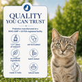 Gut Health Cat Topper · 6 Billion CFU Probiotics for Loose Stools, Hairballs & Sensitive Stomachs - Whisker and Wilde