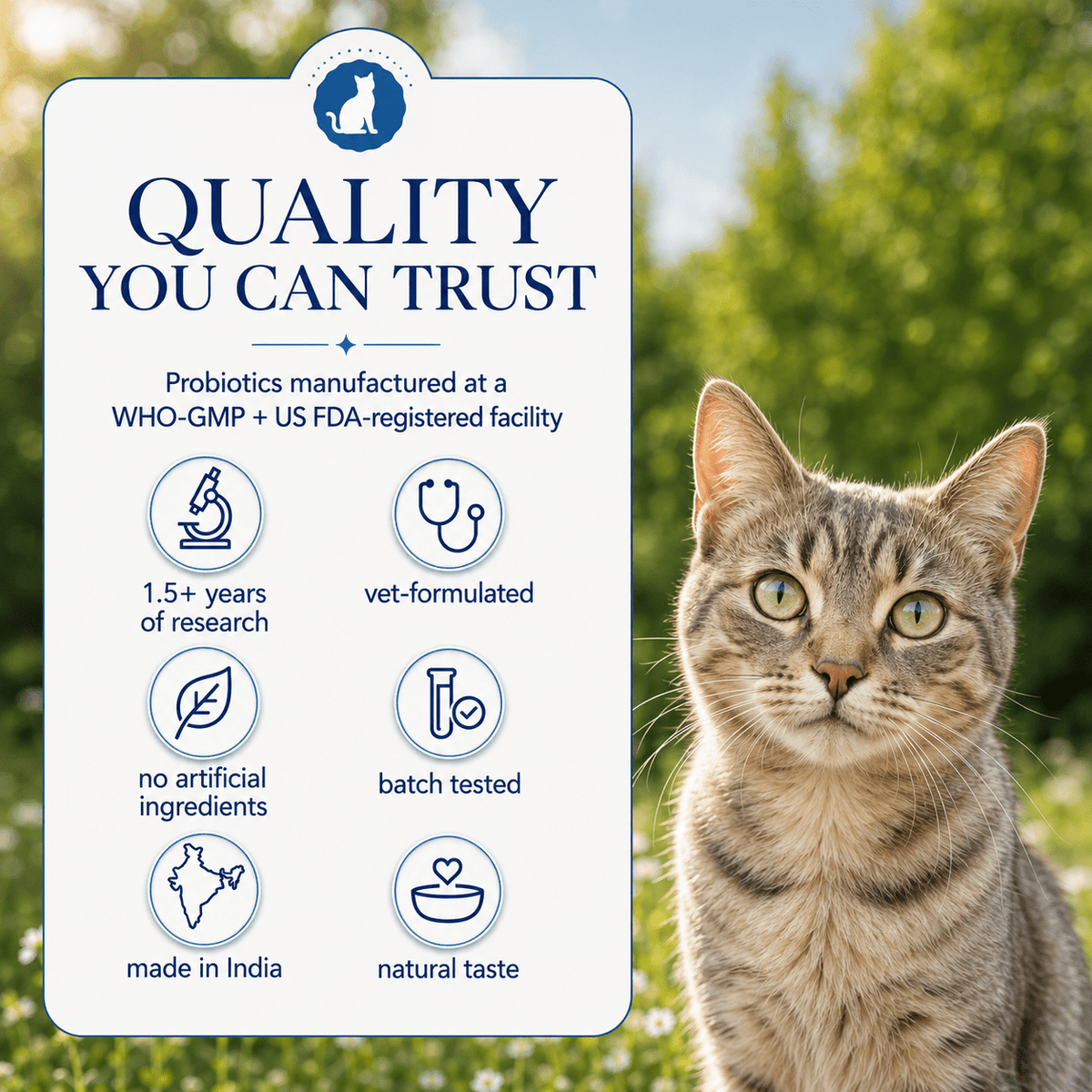 Gut Health Cat Topper · 6 Billion CFU Probiotics for Loose Stools, Hairballs & Sensitive Stomachs - Whisker and Wilde