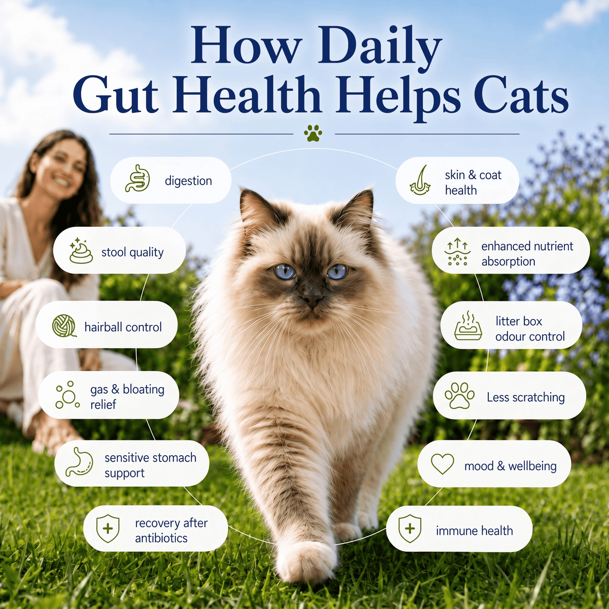 Gut Health Cat Topper · 6 Billion CFU Probiotics for Loose Stools, Hairballs & Sensitive Stomachs - Whisker and Wilde