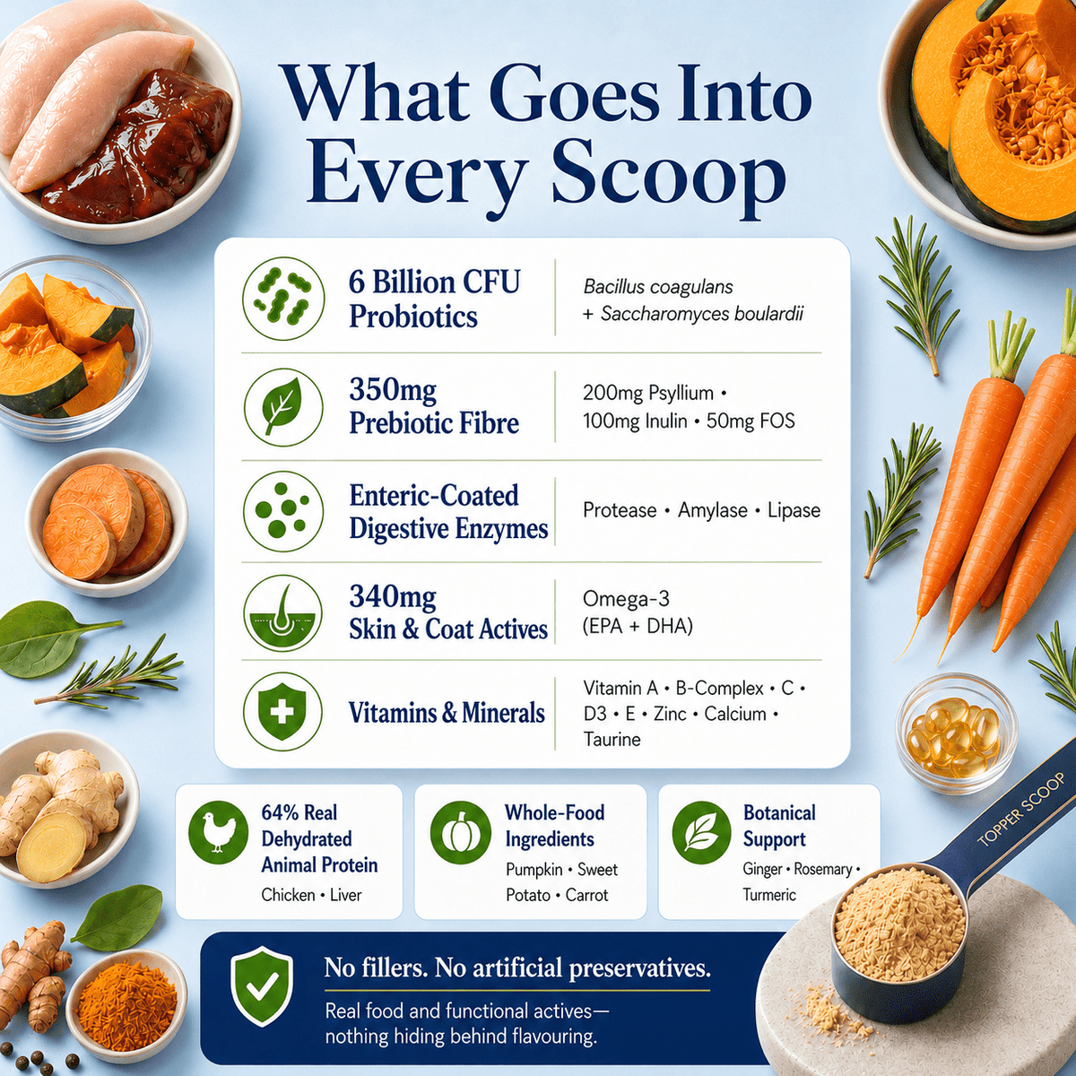 Gut Health Cat Topper · 6 Billion CFU Probiotics for Loose Stools, Hairballs & Sensitive Stomachs - Whisker and Wilde