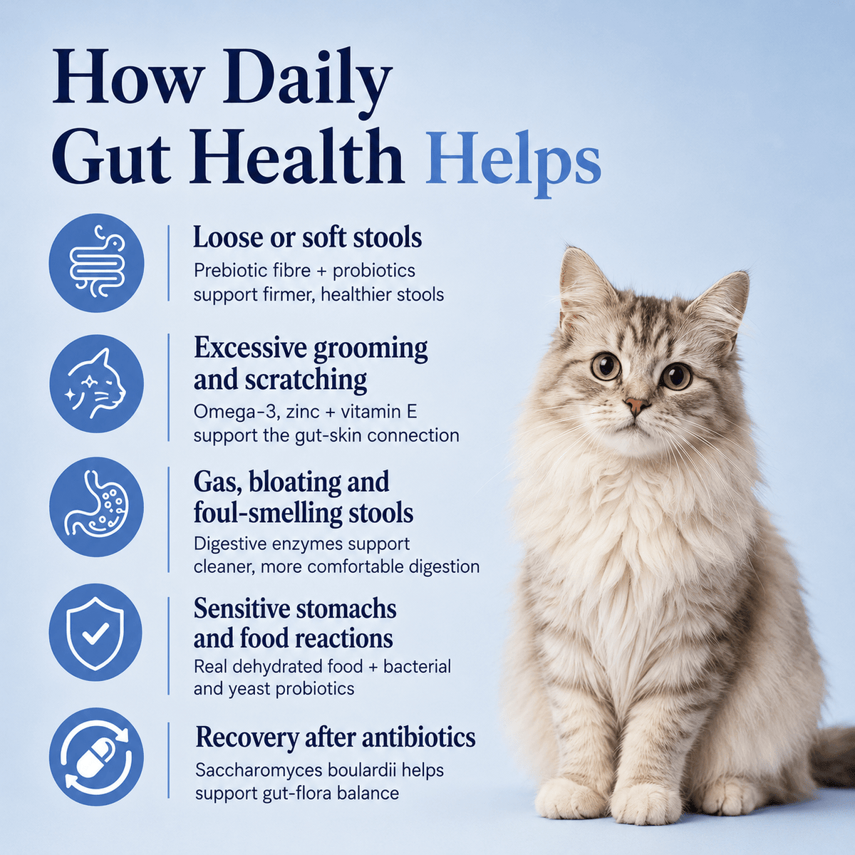 Gut Health Cat Topper · 6 Billion CFU Probiotics for Loose Stools, Hairballs & Sensitive Stomachs - Whisker and Wilde