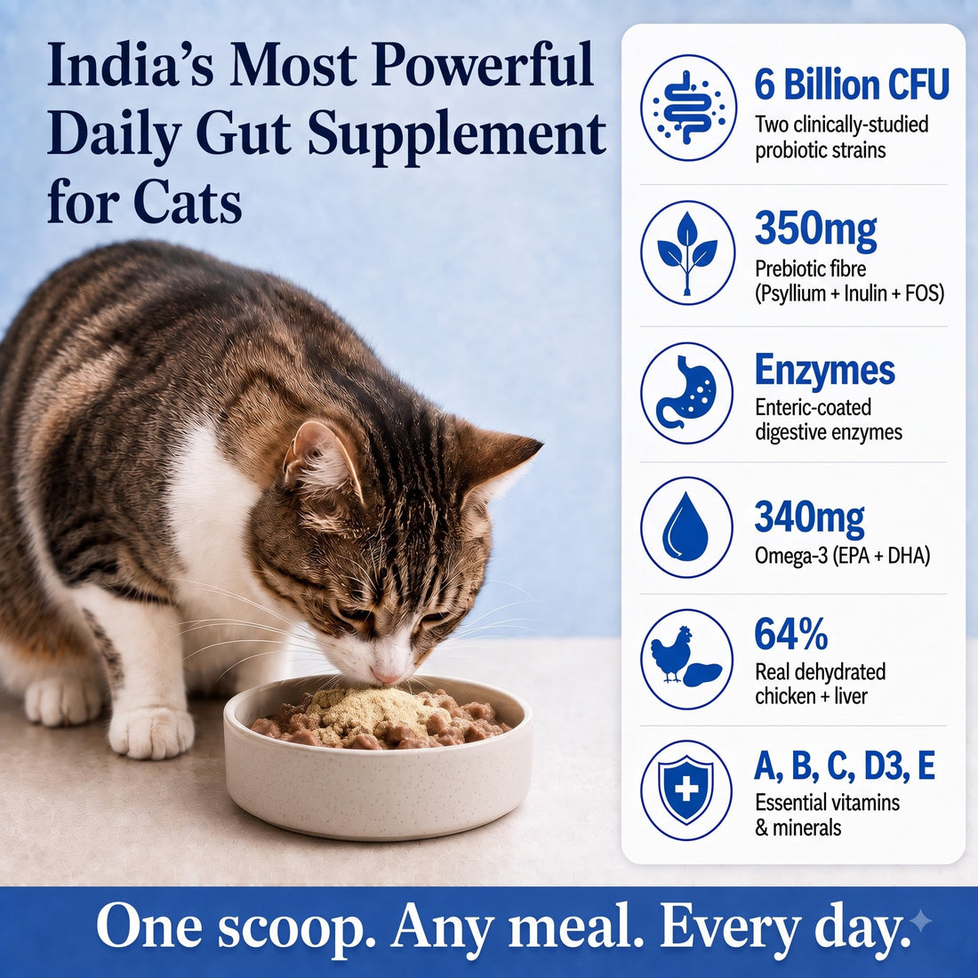 Gut Health Cat Topper · 6 Billion CFU Probiotics for Loose Stools, Hairballs & Sensitive Stomachs - Whisker and Wilde