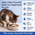 Gut Health Cat Topper · 6 Billion CFU Probiotics for Loose Stools, Hairballs & Sensitive Stomachs - Whisker and Wilde