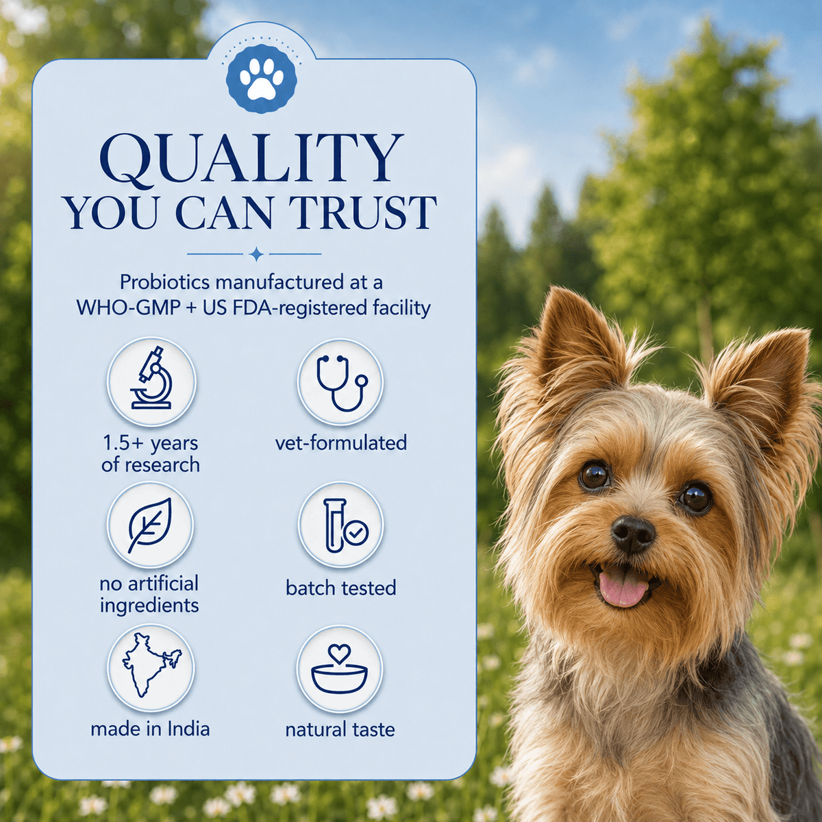 Gut Health Dog Topper · 6 Billion CFU Probiotics for Loose Stools, Gas & Paw Licking - Whisker and Wilde