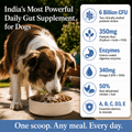 Gut Health Dog Topper · 6 Billion CFU Probiotics for Loose Stools, Gas & Paw Licking - Whisker and Wilde