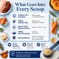 Gut Health Dog Topper · 6 Billion CFU Probiotics for Loose Stools, Gas & Paw Licking - Whisker and Wilde