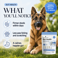 Gut Health Dog Topper · 6 Billion CFU Probiotics for Loose Stools, Gas & Paw Licking - Whisker and Wilde
