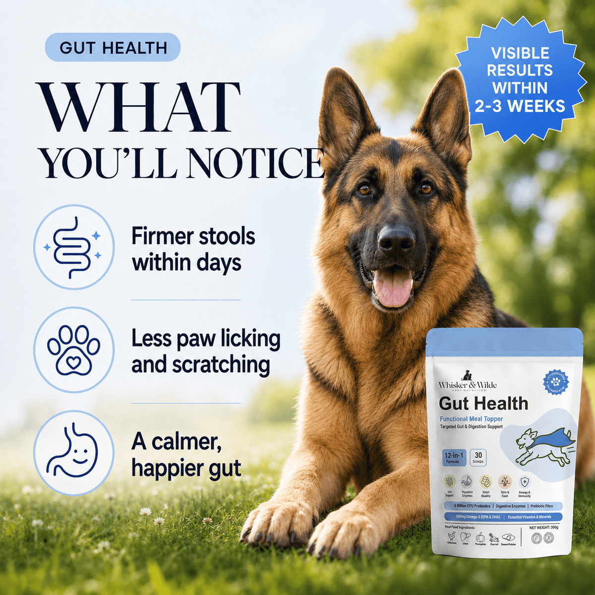 Gut Health Dog Topper · 6 Billion CFU Probiotics for Loose Stools, Gas & Paw Licking - Whisker and Wilde