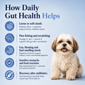 Gut Health Dog Topper · 6 Billion CFU Probiotics for Loose Stools, Gas & Paw Licking - Whisker and Wilde