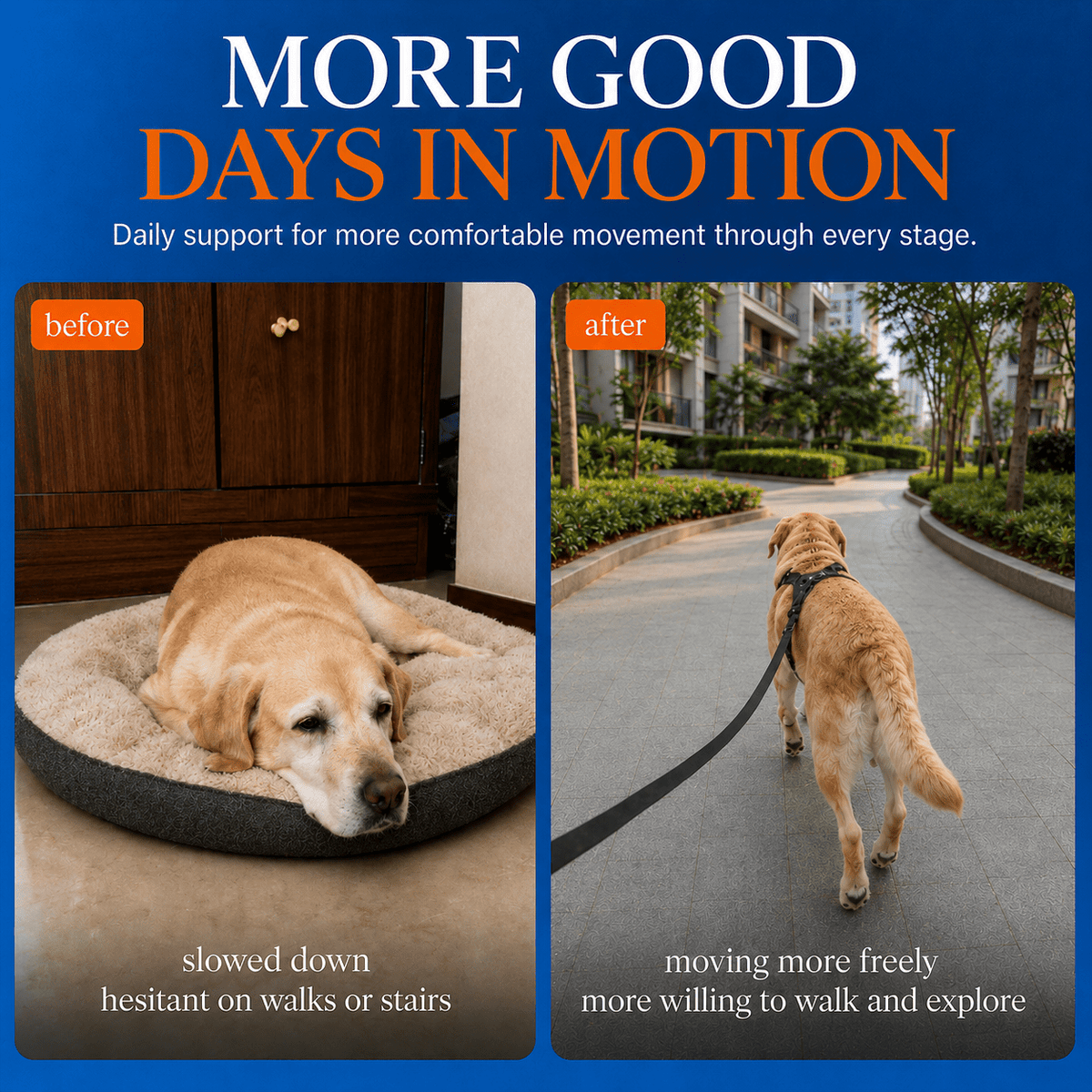 Joint Support Dog Topper · Glucosamine & Chondroitin for Stiff Joints & Mobility - Whisker and Wilde