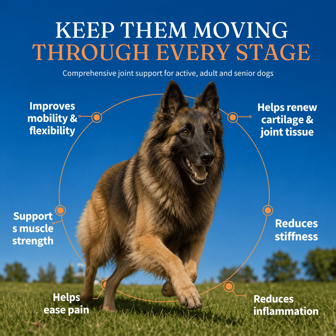 Joint Support Dog Topper · Glucosamine & Chondroitin for Stiff Joints & Mobility - Whisker and Wilde