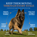 Joint Support Dog Topper · Glucosamine & Chondroitin for Stiff Joints & Mobility - Whisker and Wilde