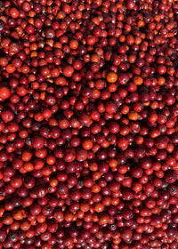 Real Cranberry