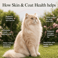 Skin & Coat Cat Topper · 460mg Omega-3 for Dull Coat, Itchy Skin & Shedding - Whisker and Wilde