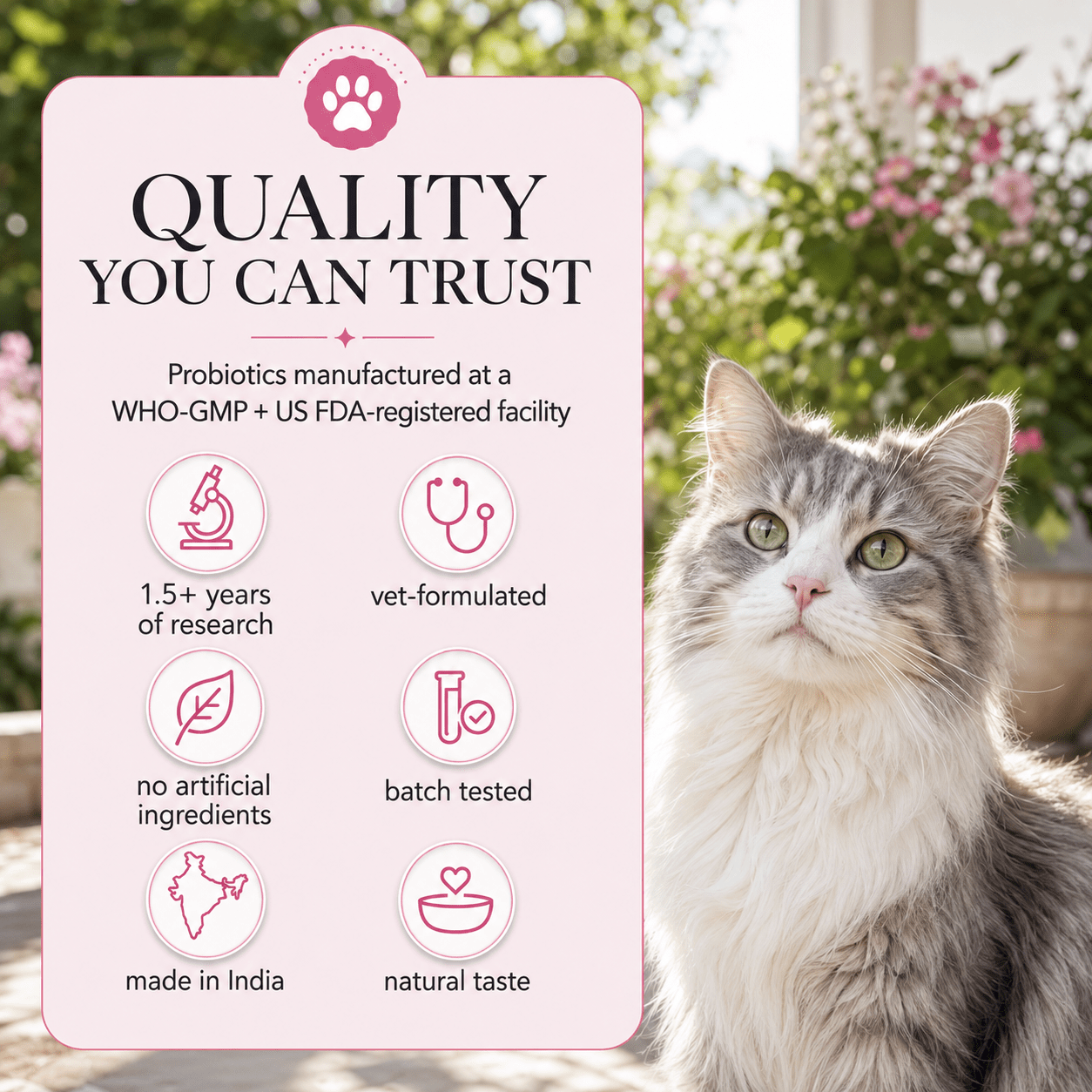 Skin & Coat Cat Topper · 460mg Omega-3 for Dull Coat, Itchy Skin & Shedding - Whisker and Wilde