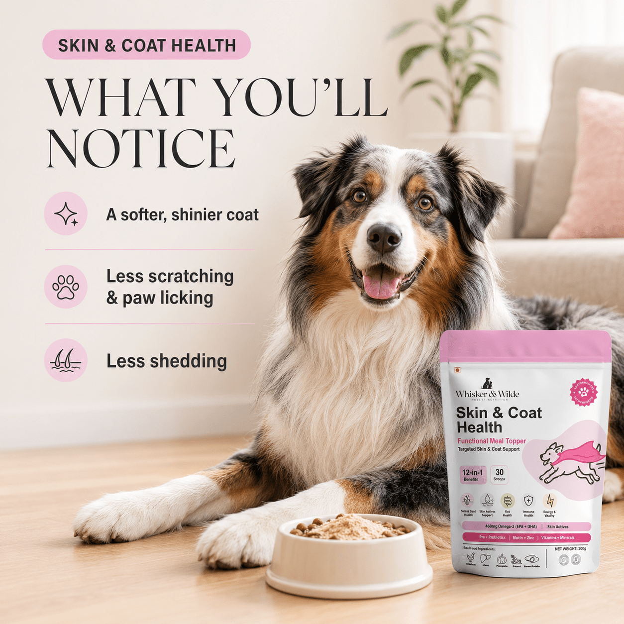 Skin & Coat Dog Topper · 460mg Omega-3 for Dull Coat, Itchy Skin & Shedding - Whisker and Wilde