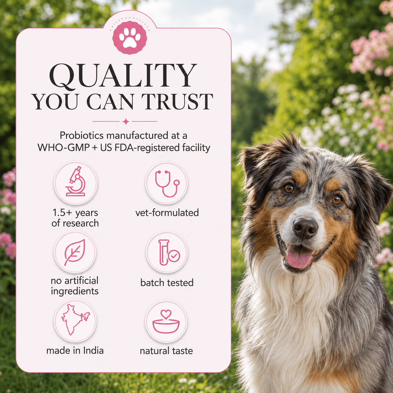 Skin & Coat Dog Topper · 460mg Omega-3 for Dull Coat, Itchy Skin & Shedding - Whisker and Wilde
