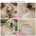 Skin & Coat Dog Topper · 460mg Omega-3 for Dull Coat, Itchy Skin & Shedding - Whisker and Wilde