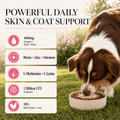 Skin & Coat Dog Topper · 460mg Omega-3 for Dull Coat, Itchy Skin & Shedding - Whisker and Wilde